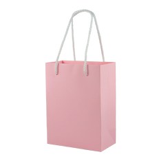 Newti Gift Bag - (PAP047)