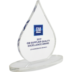 Performance Award (Award012)